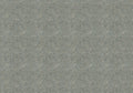 Behang Wild Leopard | Groen