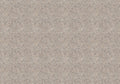 Behang Wild Leopard | Taupe