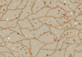 Behang Blush Dots | Mint