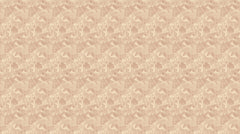 Behang Zebra Safari | Terra